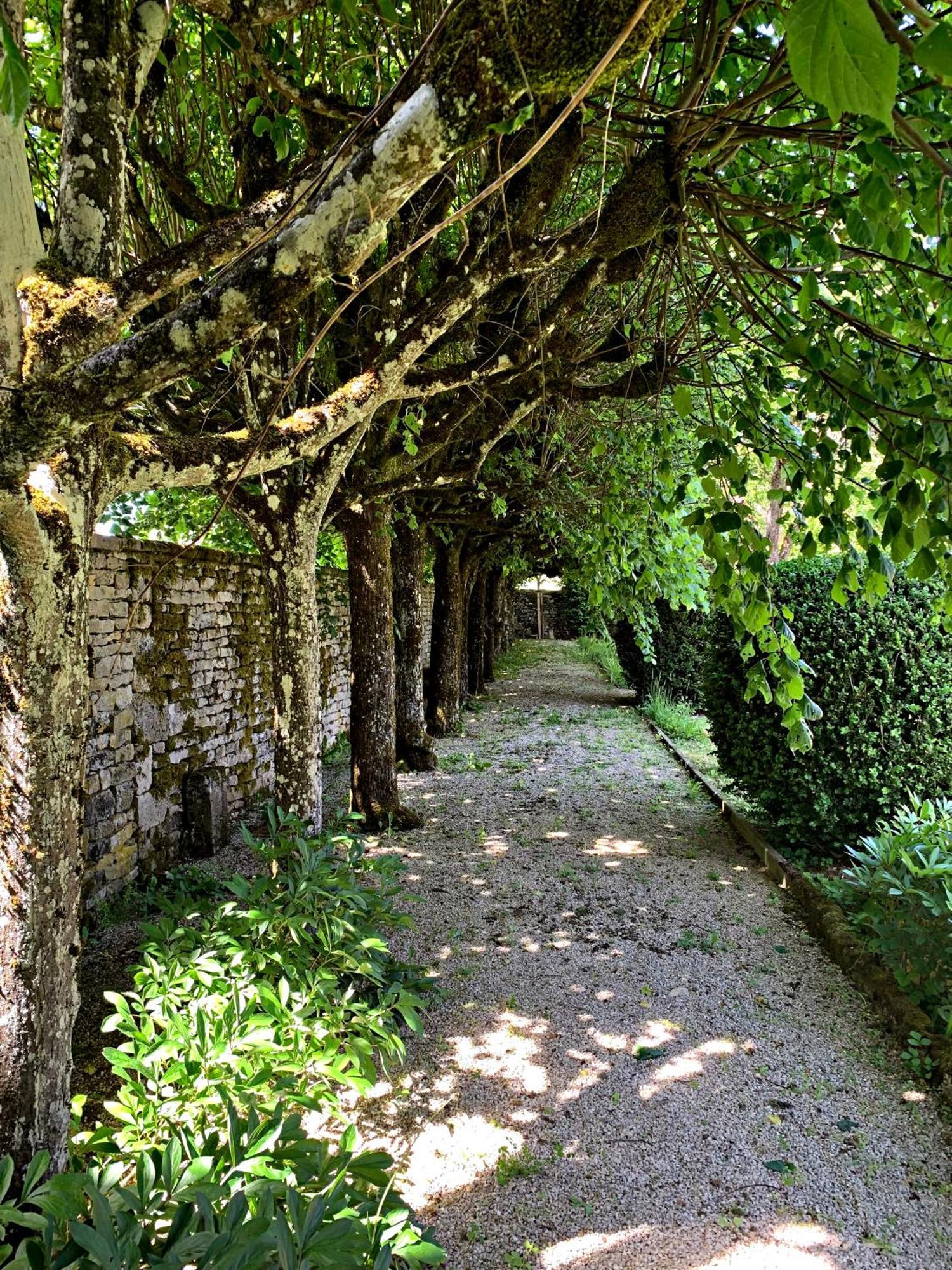Le Clos Du Marronnier Rivieres-les-Fosses 外观 照片
